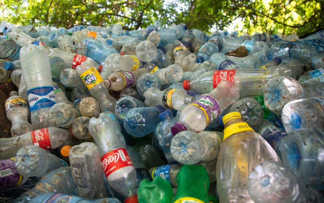 Envases de plastico abandonados 1080x675 - Autonom&iacute;as