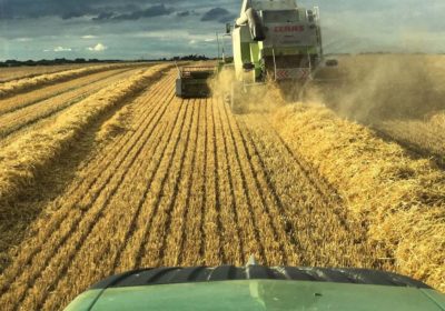 Reformas del nuevo presuesto P.A.C. desde la pasada Semana de pasion - Autonom&iacute;as